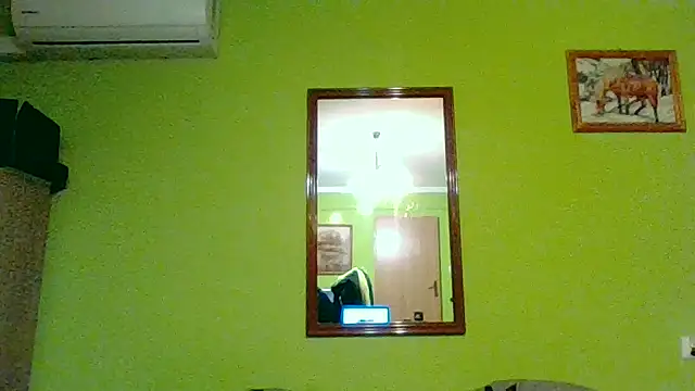 Snapshot of Tiger202441 chatting on 04.28.26 Tiger202441 online show from 04.28.26