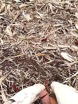 Snapshot of murokkk31 chatting on 09.15.25 murokkk31 online show from 09.15.25