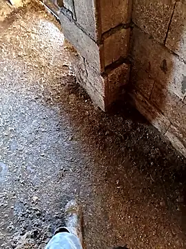 murokkk31 online show from 01.14.26