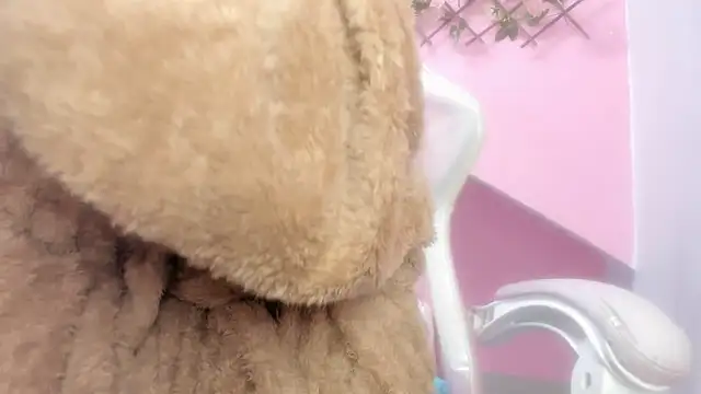 Snapshot of meribeth303av chatting on 12.22.24 meribeth303av online show from 12.22.24