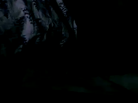 Snapshot of WHITEDAROSE chatting on 02.19.25 WHITEDAROSE online show from 02.19.25