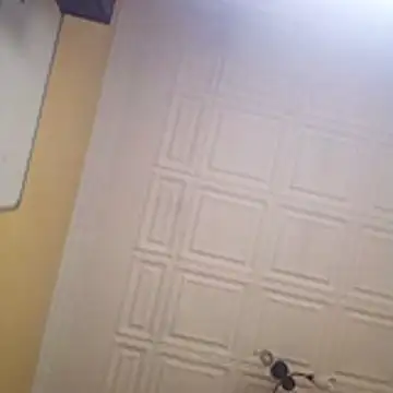 wlammi ptr online show from 01.19.26