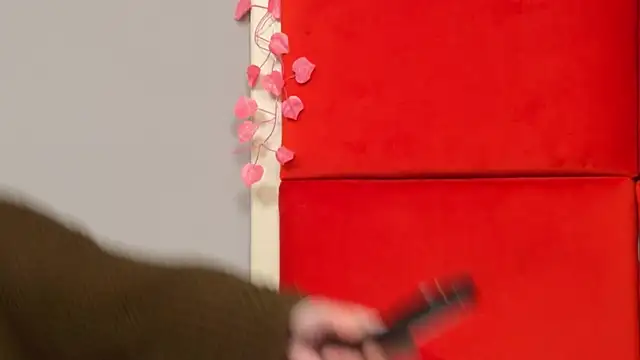 Snapshot of AliceMunro chatting on 01.11.25 AliceMunro online show from 01.11.25