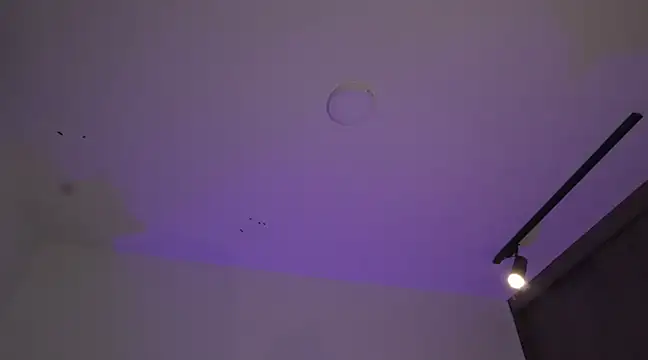 Snapshot of appolo_allen chatting on 03.17.25 appolo allen online show from 03.17.25