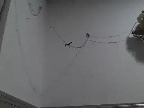 Snapshot of pedrodavid_ chatting on 12.08.24 pedrodavid online show from 12.08.24