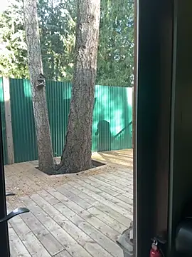 Snapshot of twist699 chatting on 11.08.25 twist699 online show from 11.08.25