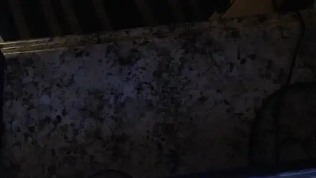 joeydee1 online show from 02.19.25
