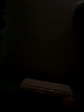 Snapshot of MephiticBermudas chatting on 10.20.25 MephiticBermudas online show from 10.20.25