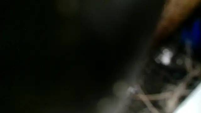 Snapshot of Gigadickman chatting on 12.02.24 Gigadickman online show from 12.02.24