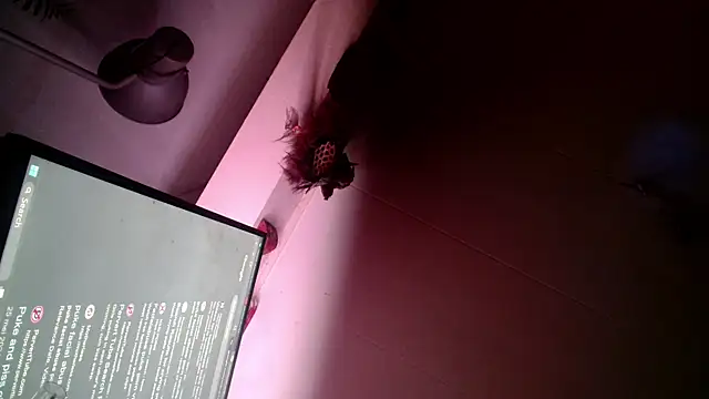 Snapshot of Gigadickman chatting on 12.13.24 Gigadickman online show from 12.13.24