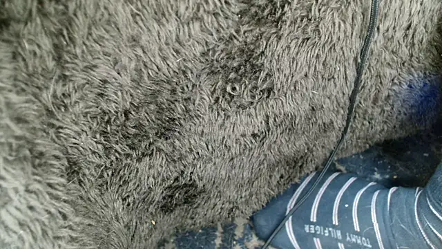 Snapshot of Gigadickman chatting on 12.13.24 Gigadickman online show from 12.13.24