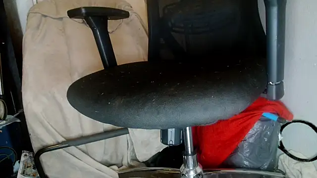 Snapshot of Gigadickman chatting on 01.01.25 Gigadickman online show from 01.01.25