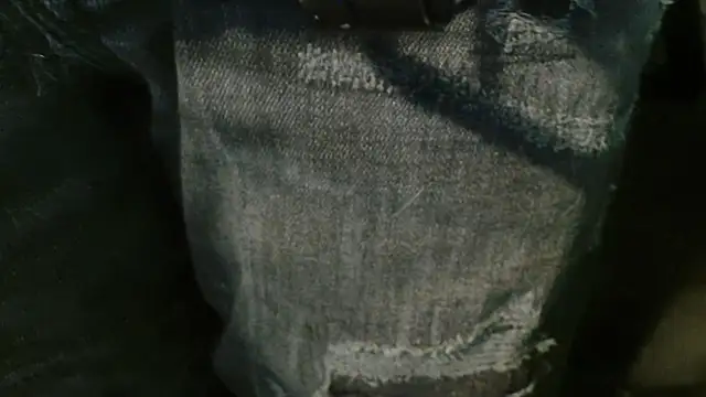 Snapshot of Gigadickman chatting on 01.02.25 Gigadickman online show from 01.02.25