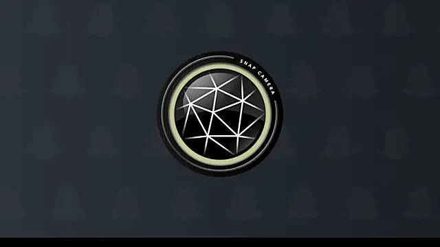 Snapshot of Gigadickman chatting on 01.04.25 Gigadickman online show from 01.04.25