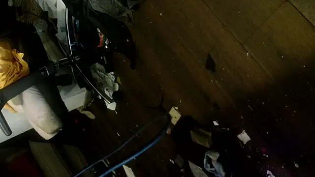 Snapshot of Gigadickman chatting on 01.06.25 Gigadickman online show from 01.06.25