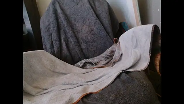 Snapshot of Gigadickman chatting on 01.27.25 Gigadickman online show from 01.27.25