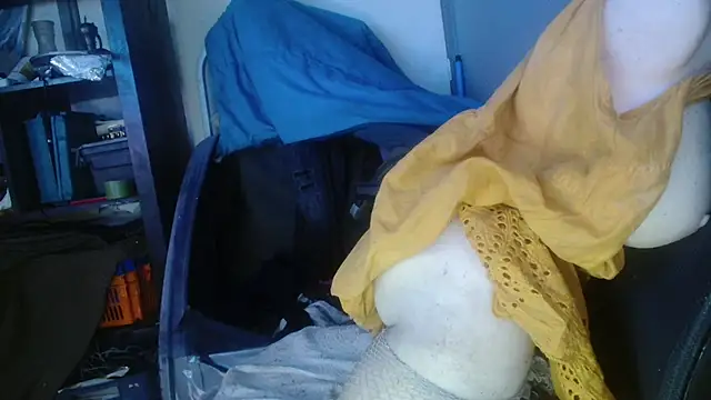 Snapshot of Gigadickman chatting on 01.29.25 Gigadickman online show from 01.29.25