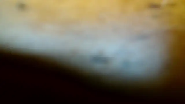 Snapshot of Gigadickman chatting on 02.09.25 Gigadickman online show from 02.09.25