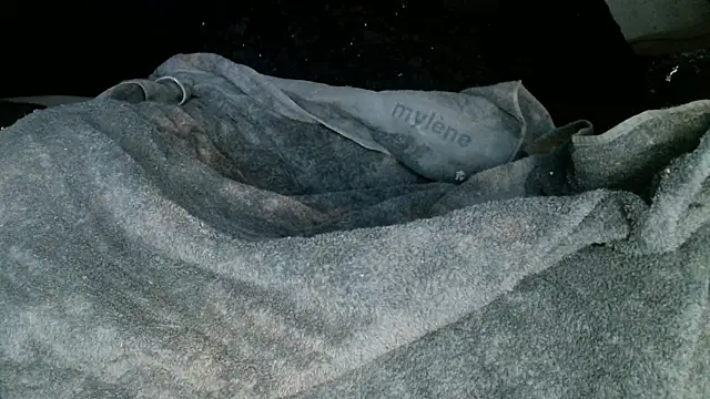 Snapshot of Gigadickman chatting on 03.02.25 Gigadickman online show from 03.02.25