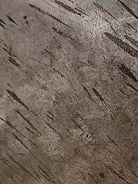 Snapshot of biharihotlund chatting on 12.28.24 biharihotlund online show from 12.28.24