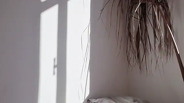 Snapshot of my_lina chatting on 10.17.25 my lina online show from 10.17.25