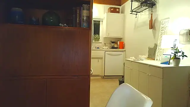 costanza7070 online show from 11.15.25