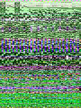 -SHINON- online show from 11.09.25