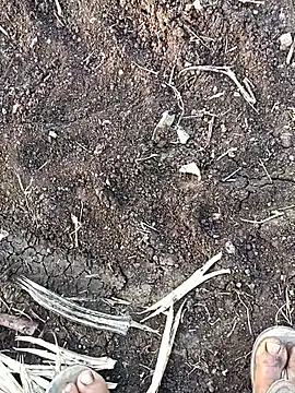 Snapshot of sexy_yashu_006 chatting on 11.10.25 sexy yashu 006 online show from 11.10.25