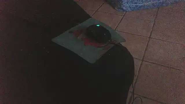 Snapshot of FJcouple chatting on 01.24.25 FJcouple online show from 01.24.25