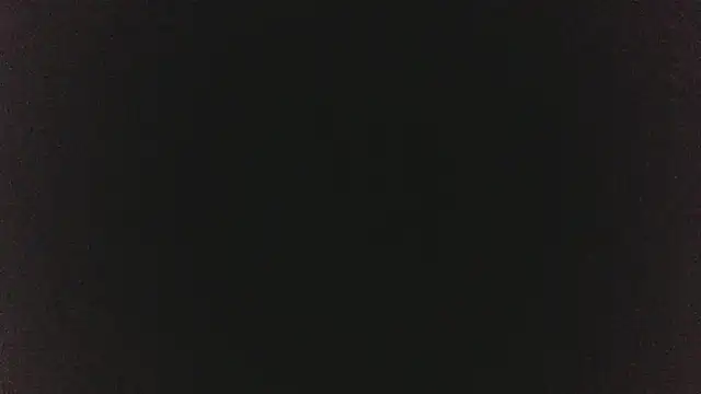 Snapshot of FJcouple chatting on 02.18.25 FJcouple online show from 02.18.25