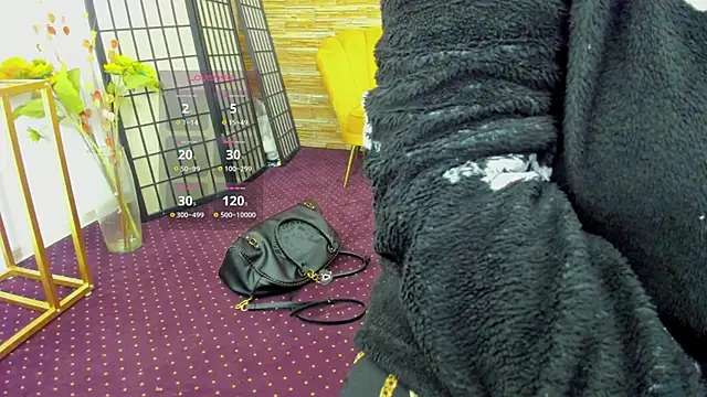 Snapshot of AishaRouhi chatting on 11.01.25 AishaRouhi online show from 11.01.25