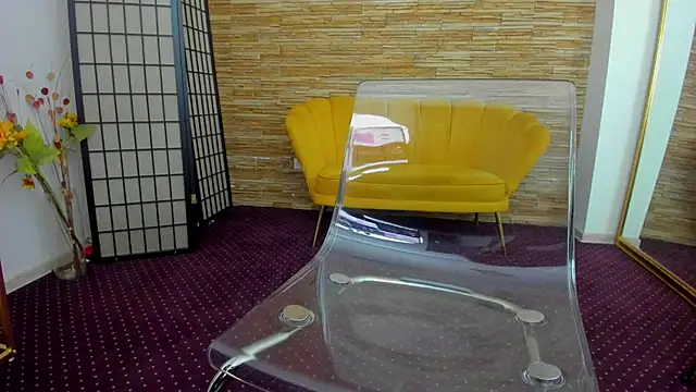 Snapshot of AishaRouhi chatting on 11.04.25 AishaRouhi online show from 11.04.25