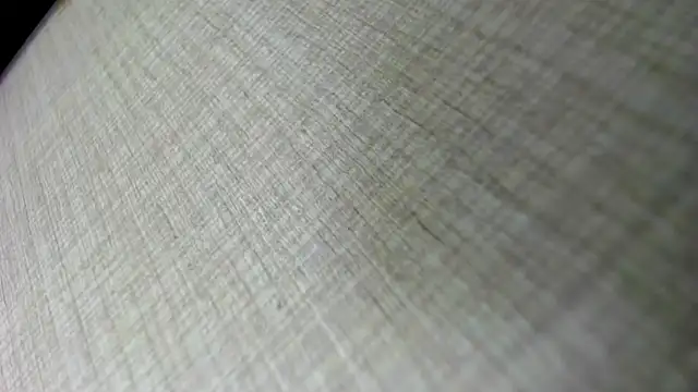 Snapshot of AishaRouhi chatting on 11.05.25 AishaRouhi online show from 11.05.25