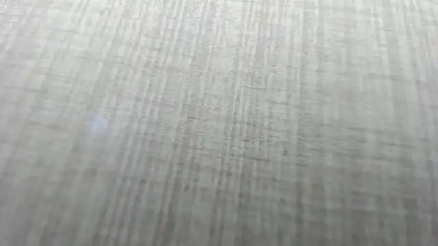 Snapshot of AishaRouhi chatting on 12.02.25 AishaRouhi online show from 12.02.25