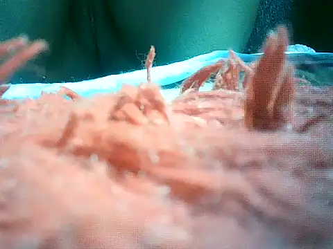 mumbi91 online show from 01.10.25