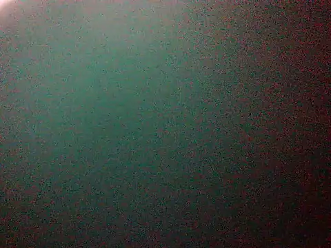 mumbi91 online show from 01.11.25