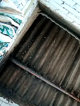 Lukas strong online show from 10.07.25