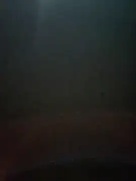 Snapshot of cumshotboy01 chatting on 12.16.24 cumshotboy01 online show from 12.16.24