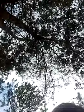 Sofia xx2 online show from 02.27.25