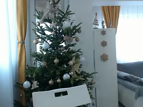 Snapshot of GoldenMark chatting on 12.20.24 GoldenMark online show from 12.20.24