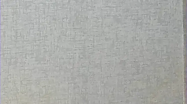 Snapshot of Ricardogo19 chatting on 03.22.25 Ricardogo19 online show from 03.22.25