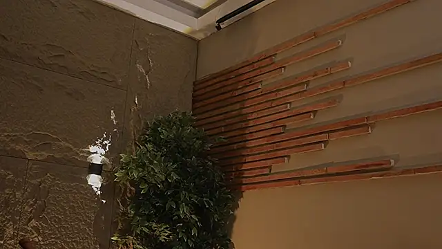 Logan Varela online show from 11.01.25