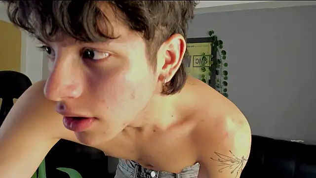 bravoboreal online show from 12.12.24