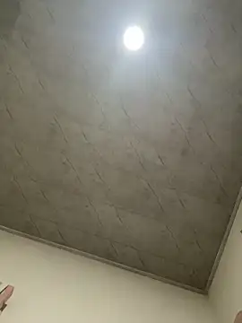 petitolivia online show from 09.20.25