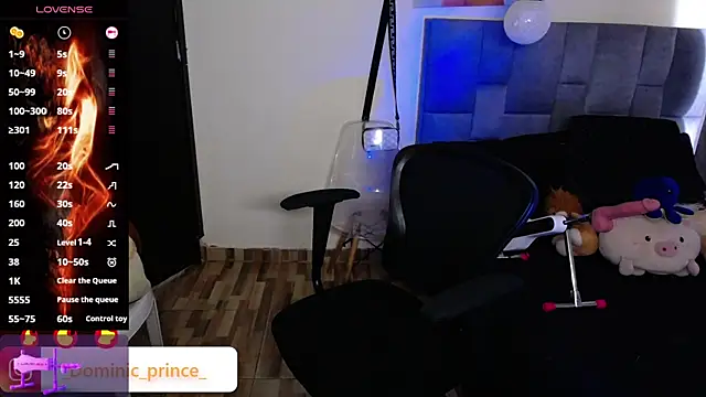 DominicPrince online show from 11.24.25