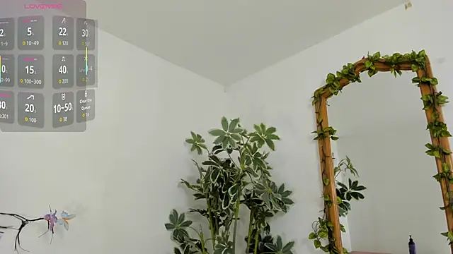 ShegoBlake online show from 11.26.25