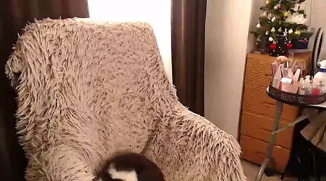 Goddessmxx online show from 12.13.24