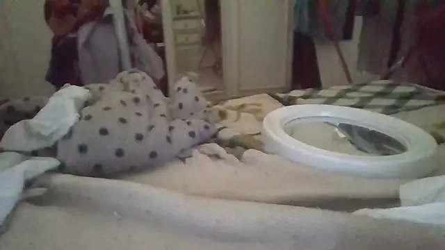 biuv online show from 11.06.25