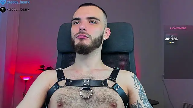 xteddy bear online show from 01.18.25