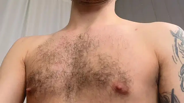 xteddy bear online show from 02.27.25